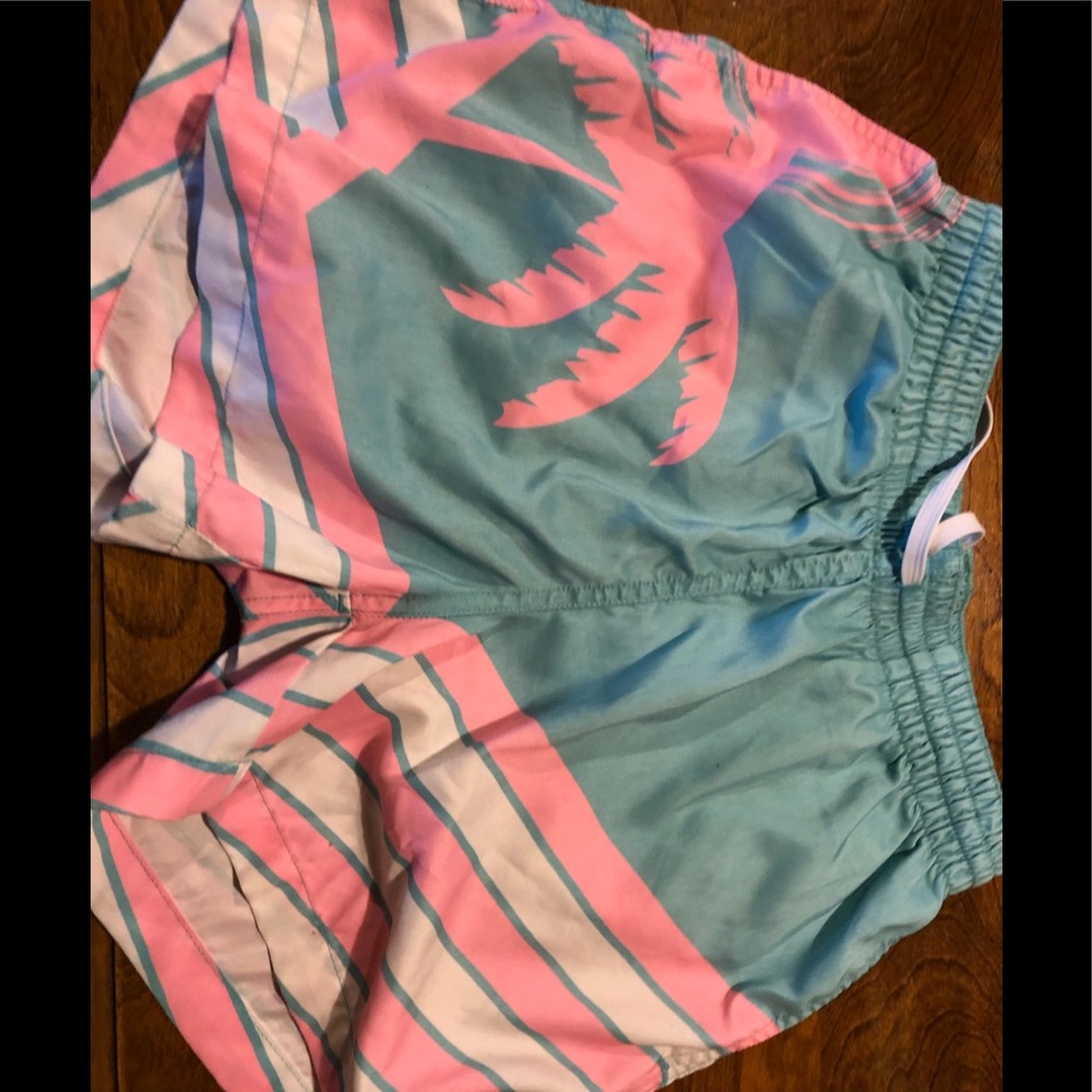 Chubbies palm tree swim